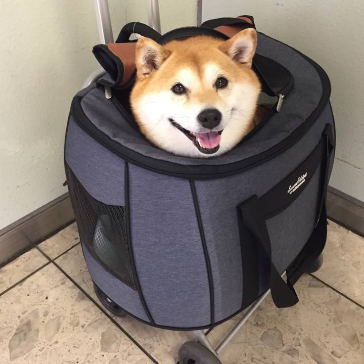 F532f4b0 cf66 4879 ba8b 6b26ce554d06 1558080515838