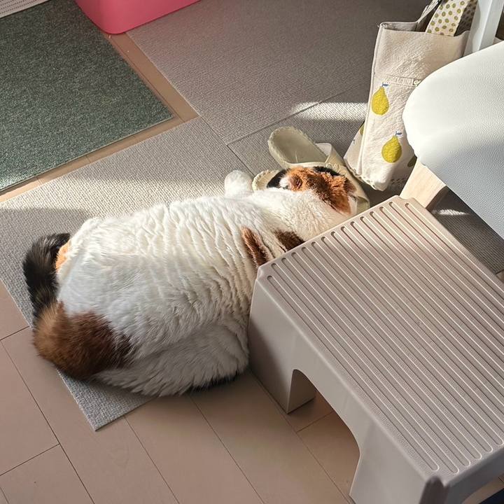 F532f72f 01c9 4826 a7b5 c372ea5433af 1709686348347