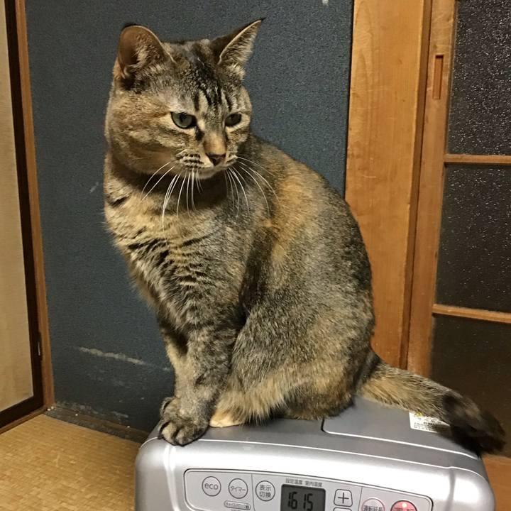 F5330fbd 03c3 4f7d 91eb d20358f6cdd4 1705136169711