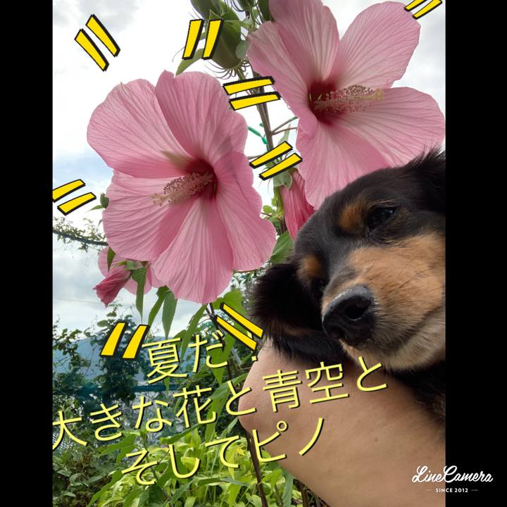 F533149a 9eb5 47c9 8de5 598ae57f076b 1565480673616