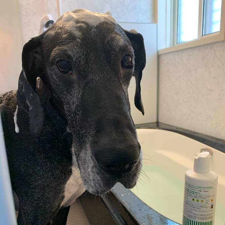 F5331f67 f1a9 4ba9 99a5 cc894726e5d5 1586062993266