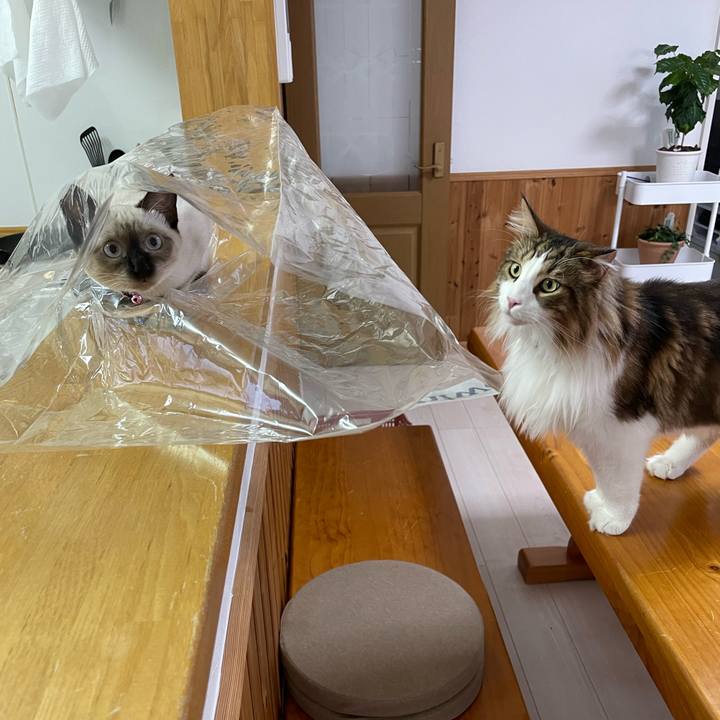 F533b9fd 7982 4a05 bb75 0c94618ef464 1694595406612