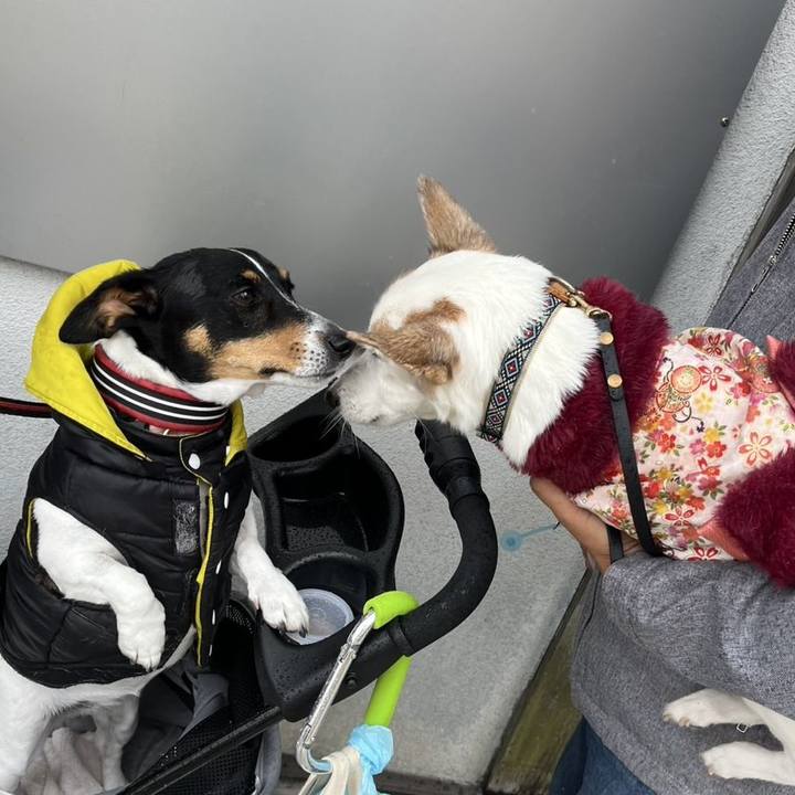 F533bf85 1c42 4b88 9538 7c871a1fac87 1735998650981