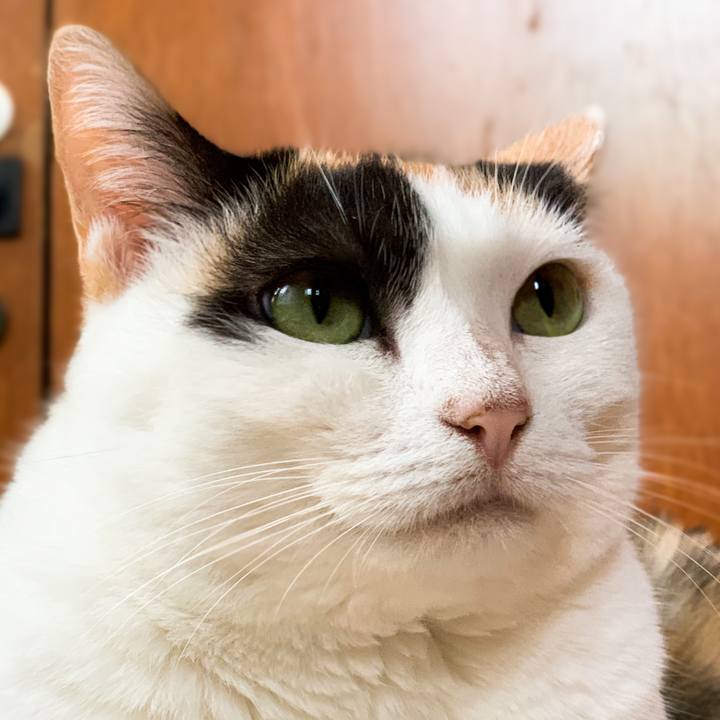 F533c2a8 d14e 449c ad6c 9961a03aff8f 1601084682181