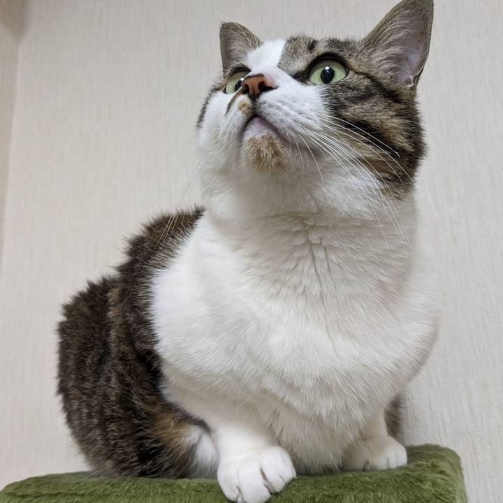 F5340a04 4492 46f0 9f0a c7cd36fb9b14 1707781895942