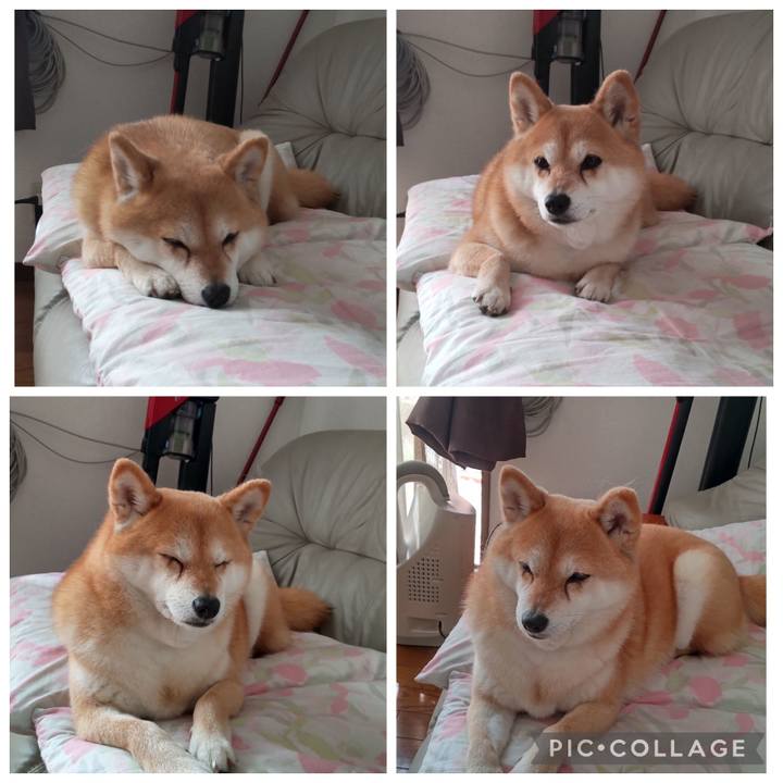 F5340ec2 70d2 40f1 8071 2bf76ae85353 1774932531816