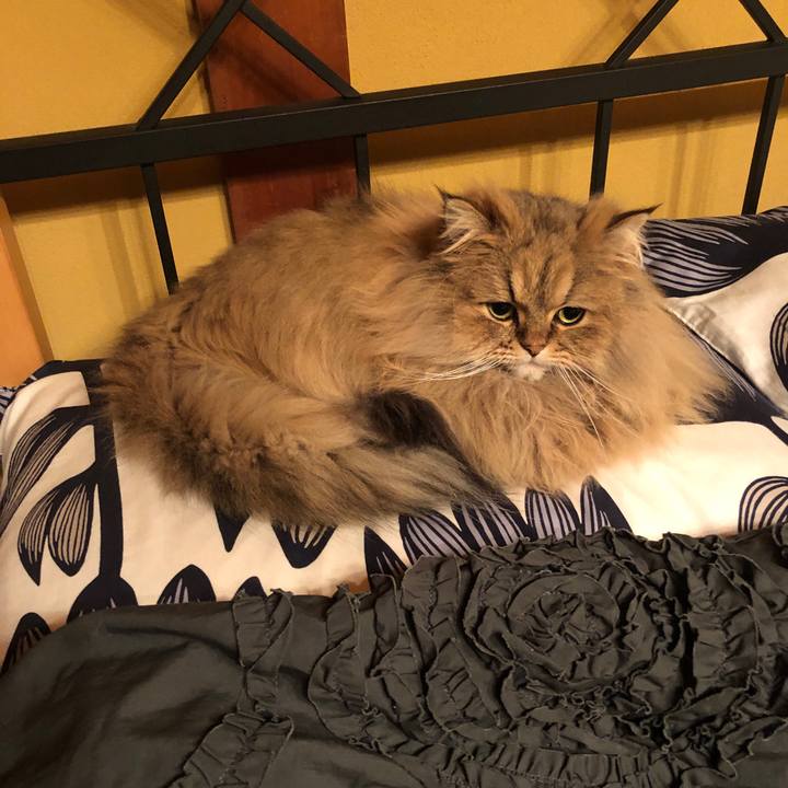 F5348409 7df2 4083 913c f341c59ca8cc 1580996134620