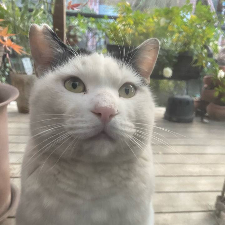 F5348e0b 0674 4479 9d81 d76ccba4eed7 1609398791583