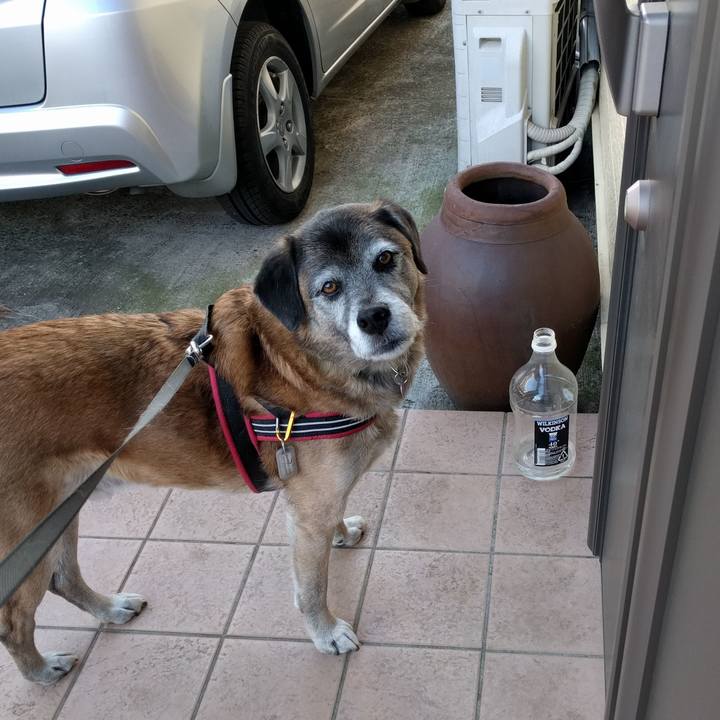 F534968d e069 4b0d b26b 9dabb2673148 1515287451094