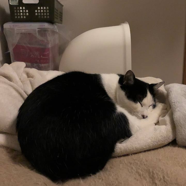 F534a712 04b7 4e41 82b8 3d40546199a3 1549723661223