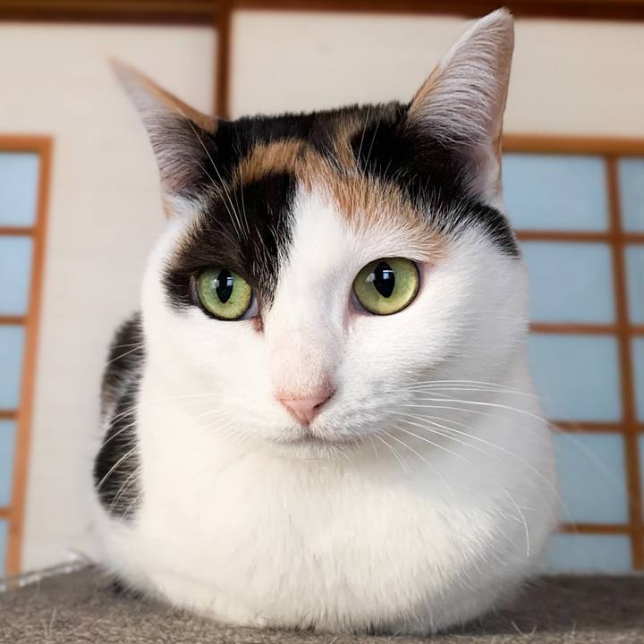 F534ddcb 1d1e 48a5 8994 f018755063e4 1577757031734