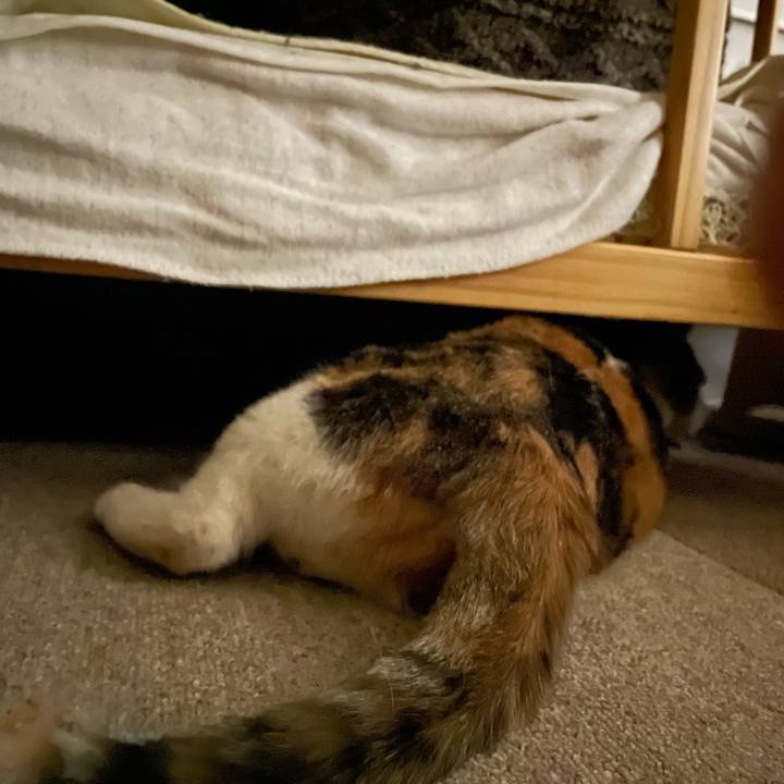 F5350cd5 889d 477f b694 aa3e65e75e95 1716383531276