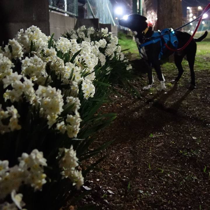 F535573d 03c9 4eba b3c2 c72466634fb2 1615891239392