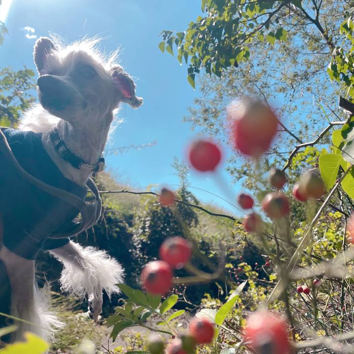 F53564e0 44ca 4c81 ada1 f3707612d6b1 1761280661724