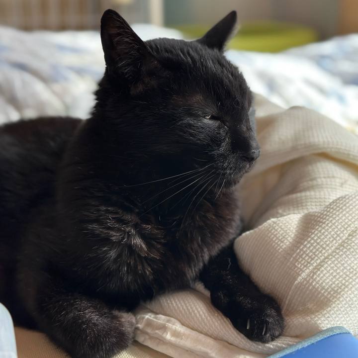 F53591e1 0e52 43a3 838c f2c378f6ec37 1685497907570