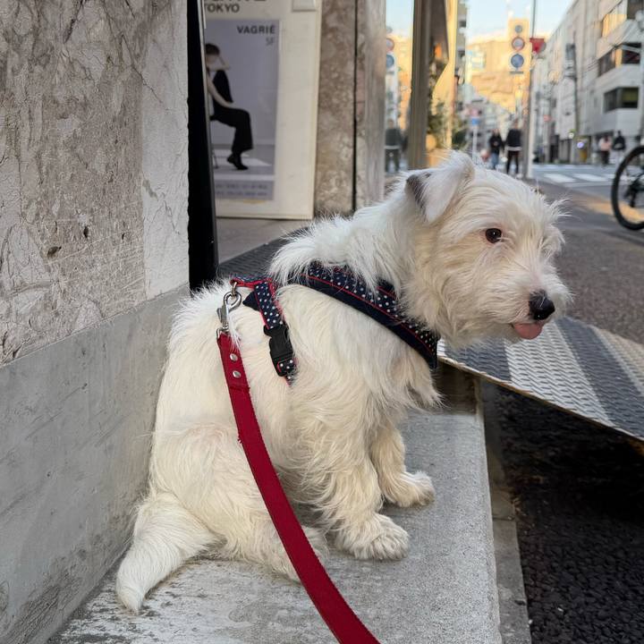 F53619a6 79c3 4636 8a05 0ada6dd28ae6 1771674885988