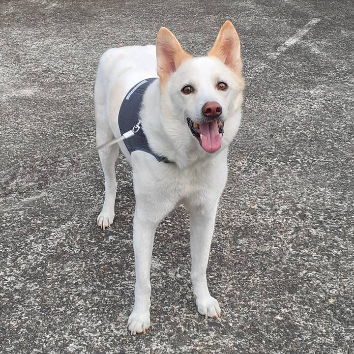 F53628f9 ba94 4996 8380 6bd0b7256a93 1755535586800