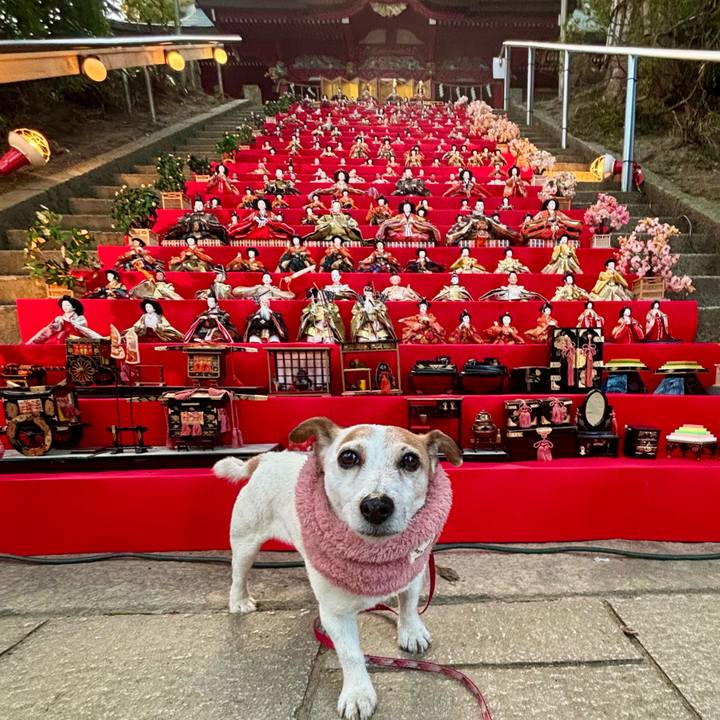 F53683d8 7160 4a74 bc85 b83d8577f3cf 1771938834246