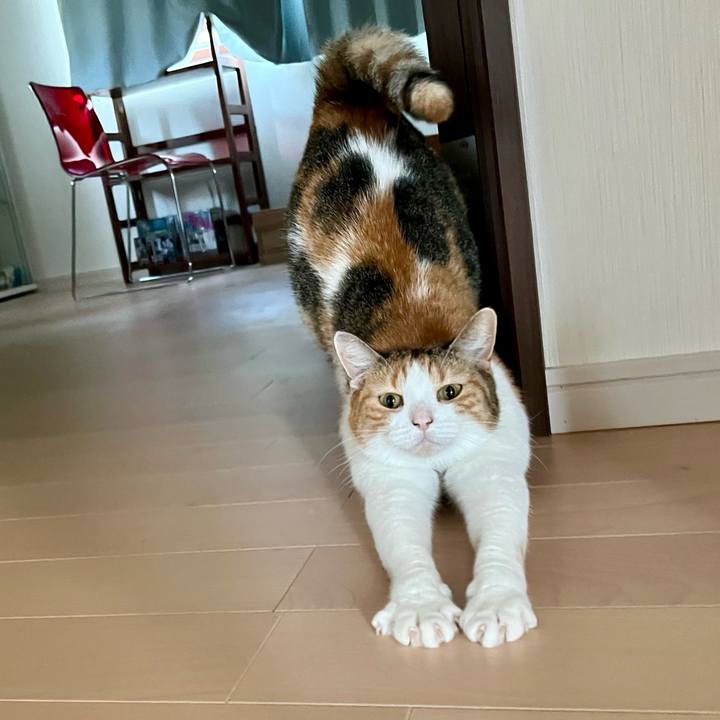 F536893f 8ca3 4448 a695 d5cd3c9743ee 1759029572968