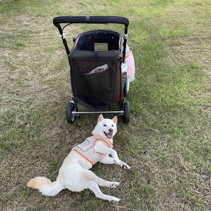 F536bdfc d4ce 4da1 93fc a9e2198787ea 1659013464979