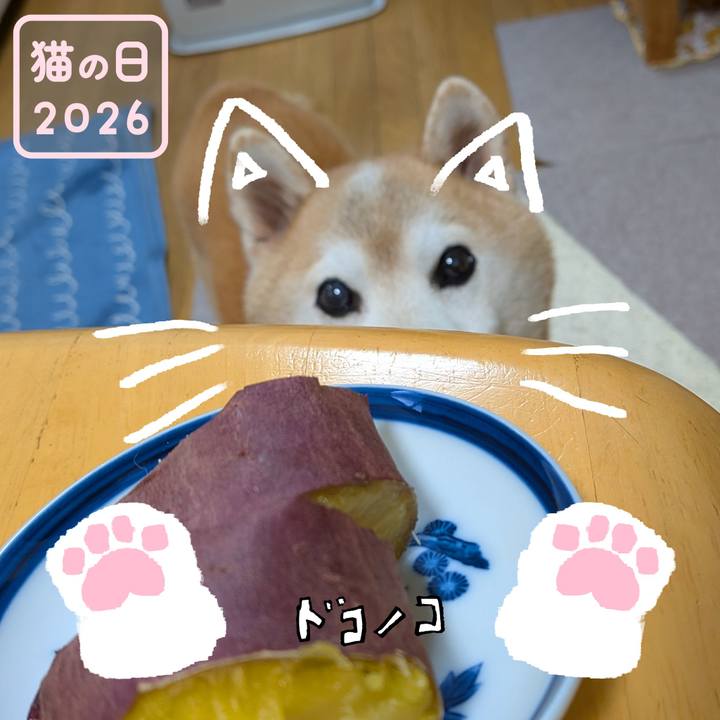 F536e3e6 721e 4c0a 8f6b 326b20530159 1771758038622