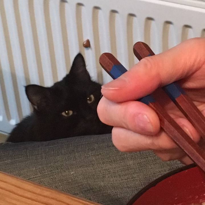 F53720b4 5955 49ea b9d3 0884cd9ca0f4 1510052531070