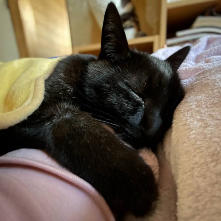 F53749f8 0c2e 415c ab0a f1de65b5f037 1650334315665