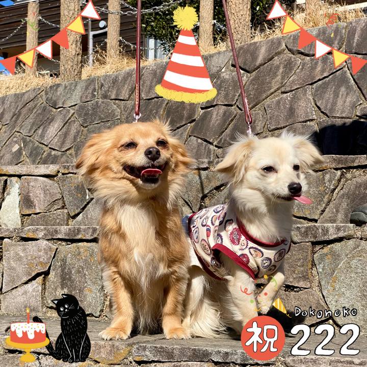 F5376eb6 b1a9 45cb 8974 734a61c4ea8e 1645537294216