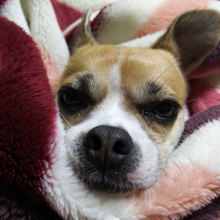 F537b095 a7fe 4c2c 9ca6 77ece8fc8deb 1508188521285