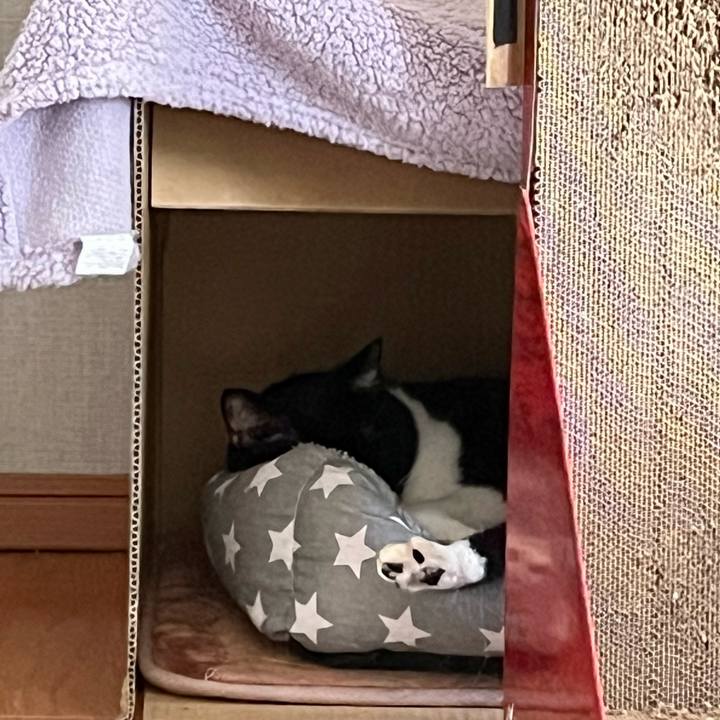 F53832f5 48da 4c4d 9b20 c9509dd19930 1682657914949