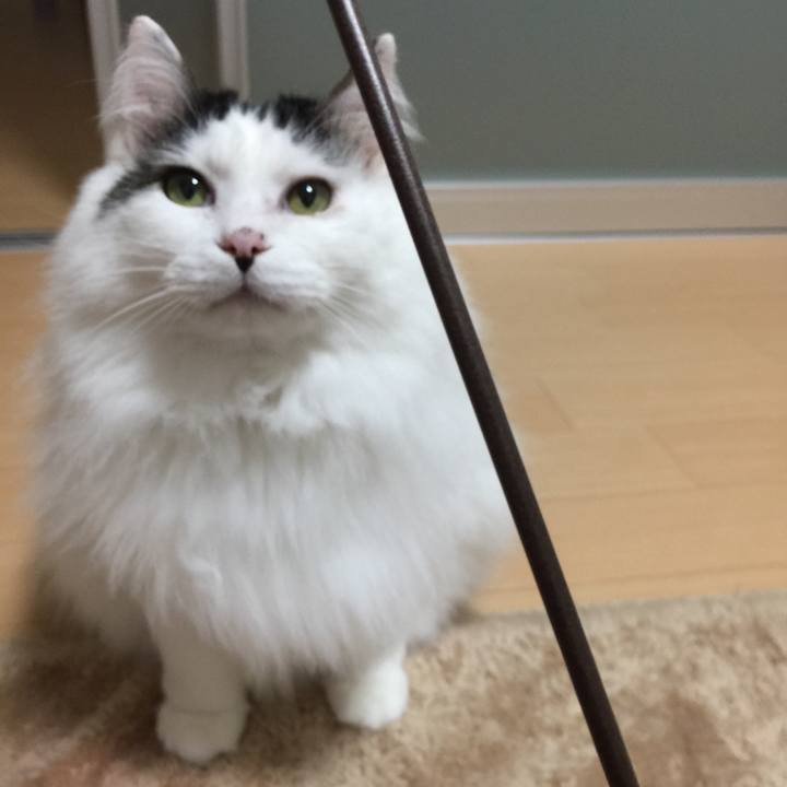 F5383380 27b4 48ce 8968 115426b1f3eb 1521563751538