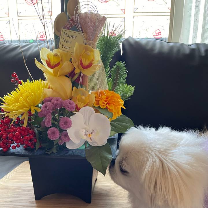 F5384e5d fa35 42db af9d a3c5d0969ad2 1672525270688