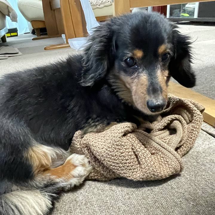 F5389adf 4a8f 418e ac0b 6b76d91a9f24 1636926069437