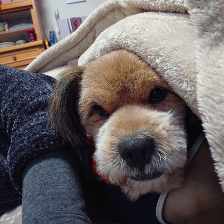 F538ade5 464b 4458 a6ed 05f13e2610a9 1547365586576