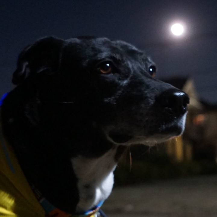 F538cb10 8dca 455f a0c9 d1dc1c6fbefd 1765024644479