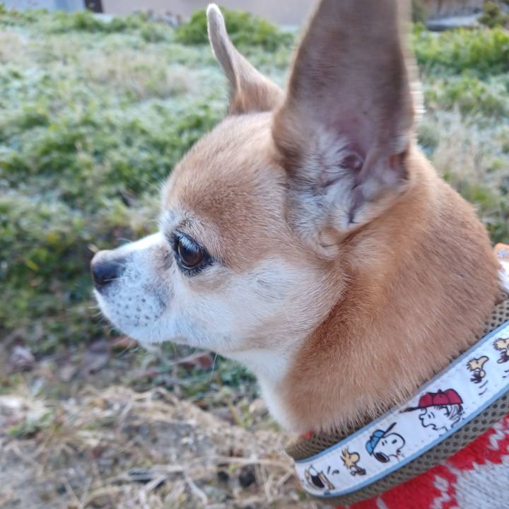 F538fdad fe61 43f5 8248 b171dfbf48cf 1773267549197