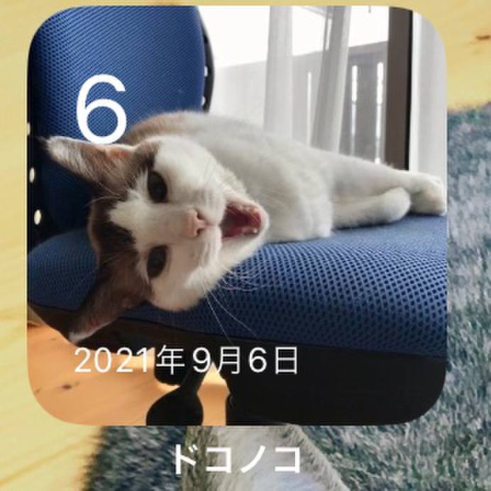 F53902ff 5d20 43bf b3dc 9947b0756485 1694475838023