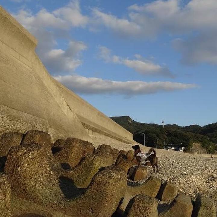 F539117e 211b 4c13 a2da eeb94f17787e 1521293794504