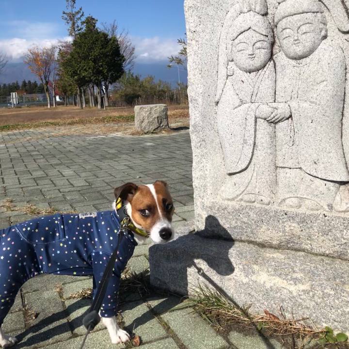 F5391bf6 00cc 49cd 9181 ad80f355b33b 1573958253443