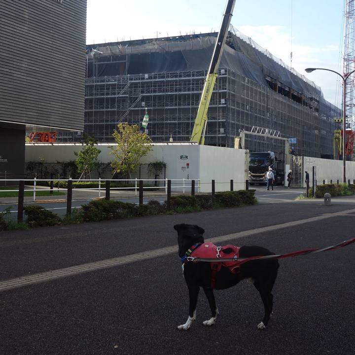 F5391c5d d5ce 4419 b142 54d98cbab3f9 1695946514185