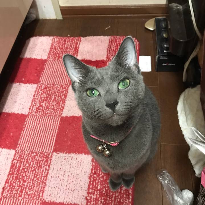 F53951db ef01 4ea7 bead 8685d1dc411a 1539181692989