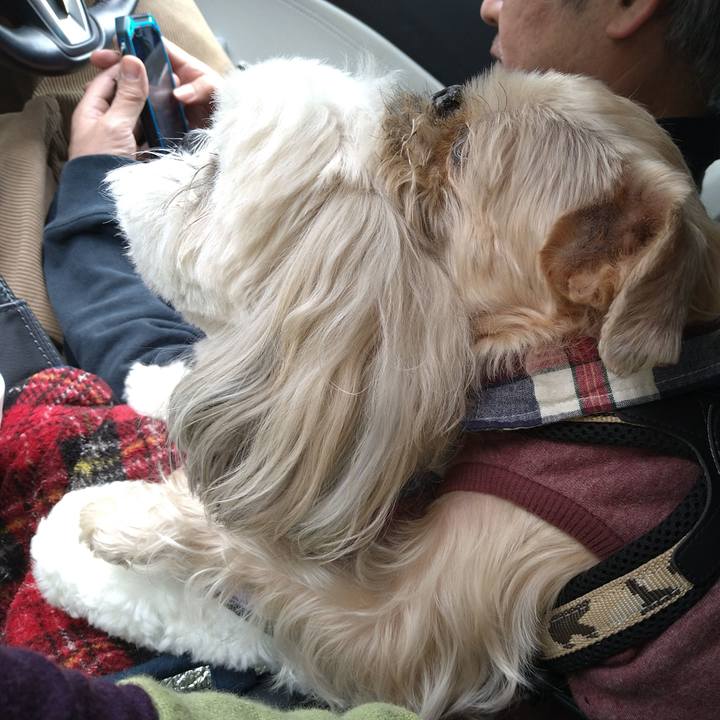 F539830f a2ab 4338 bb74 ae75140de8a0 1652247190445