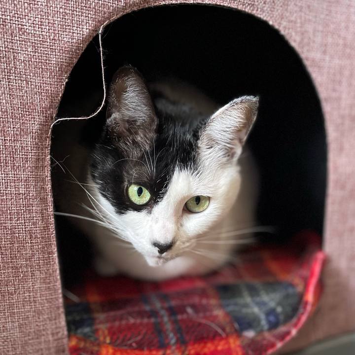 F5399587 68af 4b2e a3f3 02284f72a6fc 1764385452027