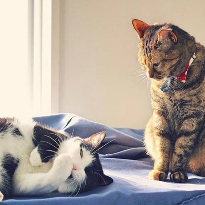 F539b72a d12a 476b 9c71 0a2b8c78836d 1558917180859