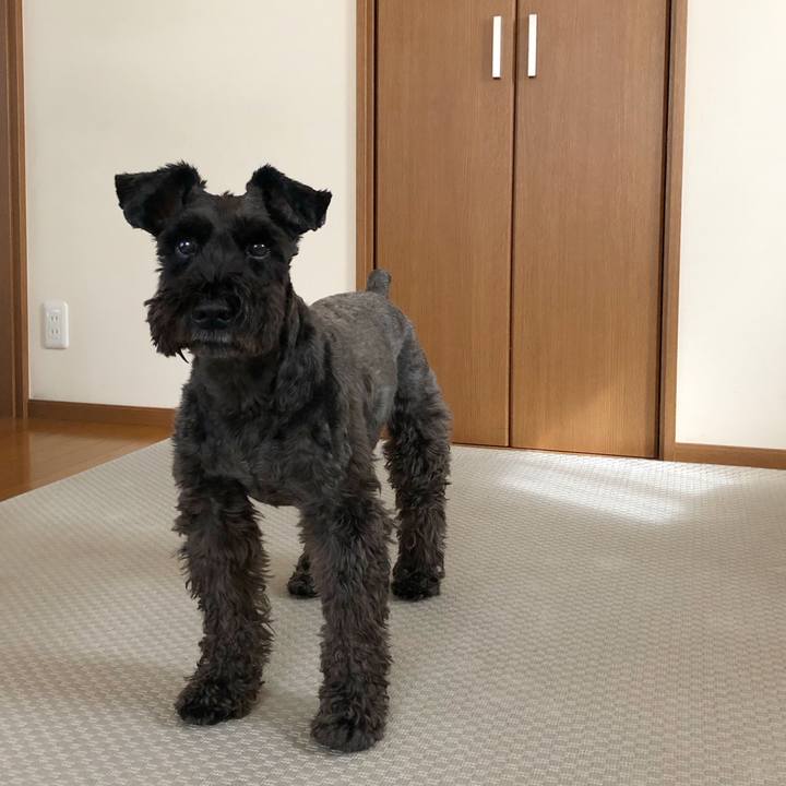 F539b86c 8a58 4b14 a153 03bc27ffe1b2 1697329906263