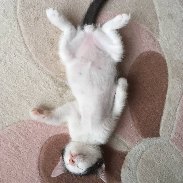 F539c0d7 fb64 46ab ba84 e44d7509d222 1591400086687