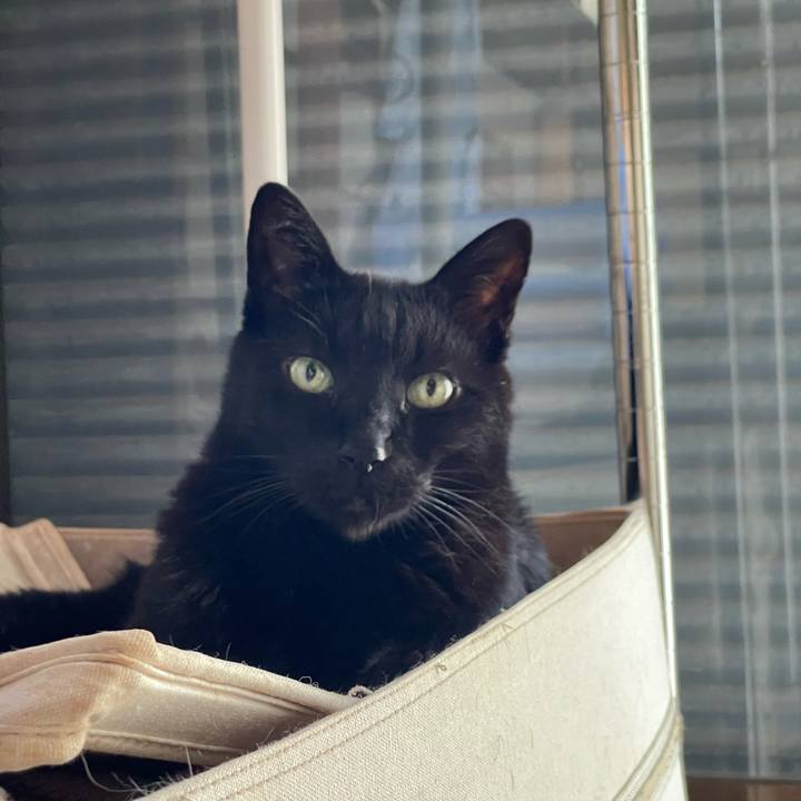 F539d4c8 71dd 49f0 a7b6 8b10f8d2d6b9 1650506168260