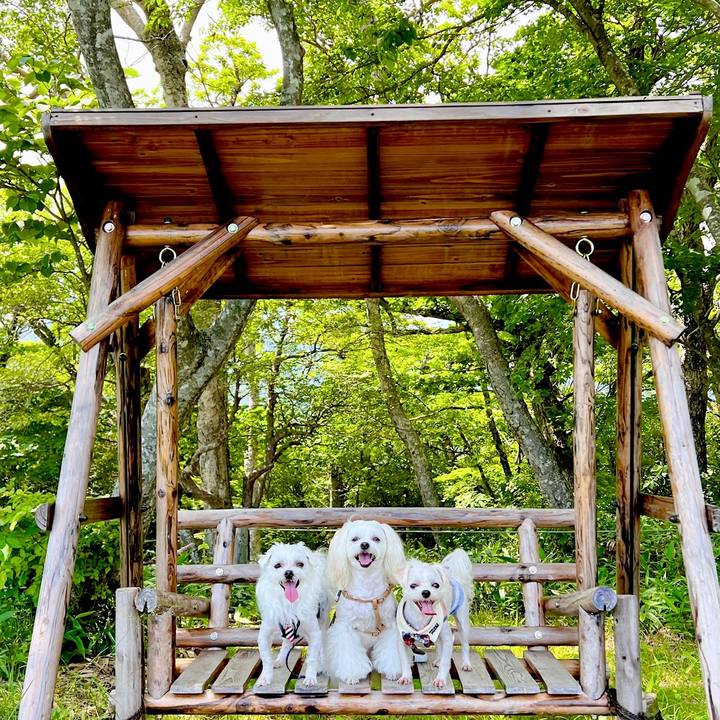 F539da97 fb5e 49e4 a863 f199500ebf1e 1690698106069