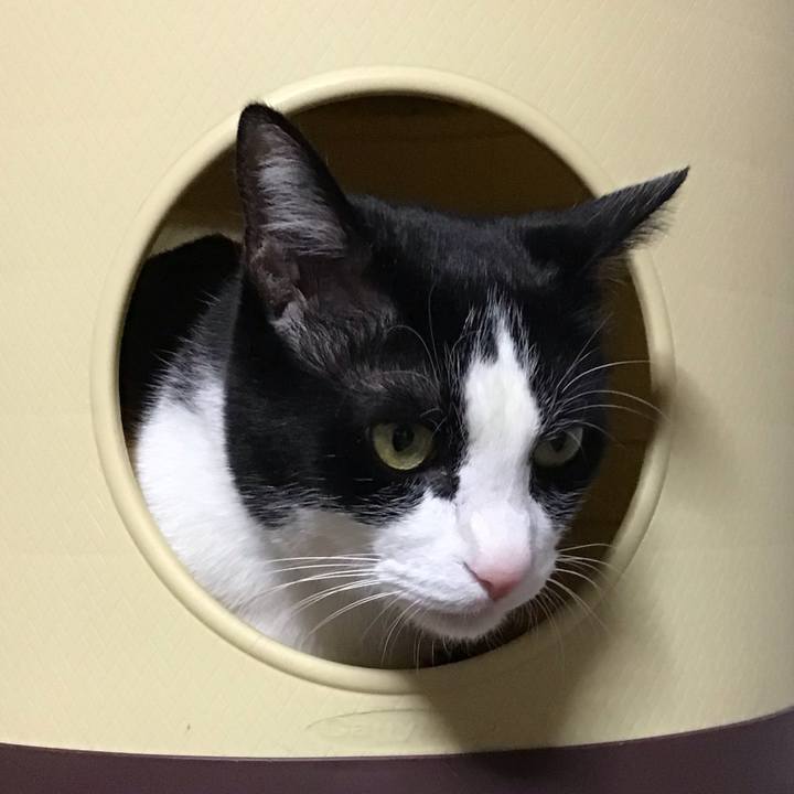 F539ede8 281f 4343 89eb 638ae085e5b0 1744981126366