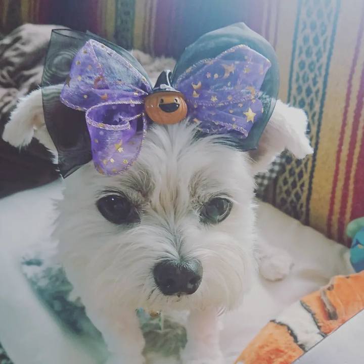 F53a31d7 d657 4ea6 8c97 46e084cc2f79 1663900498100